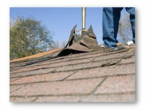 Shingle Roof