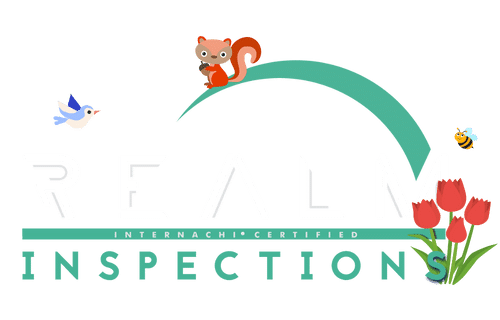 Realm Inspections